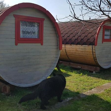 Camp-Wroc Ξενοδοχείο Βρότσλαβ Εξωτερικό φωτογραφία